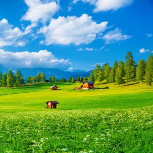 Land Holding Options for Intentional Communities